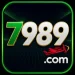 7989 Game