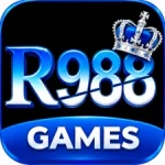 R988 Game