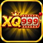 XQ999